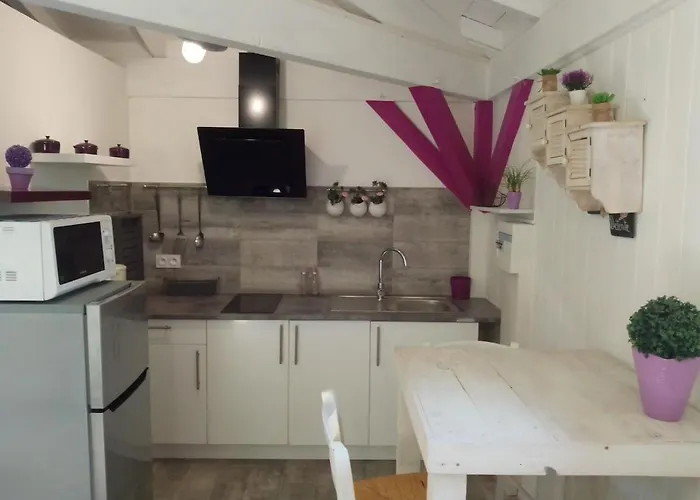 En Gascogne 샬레 Vergoignan